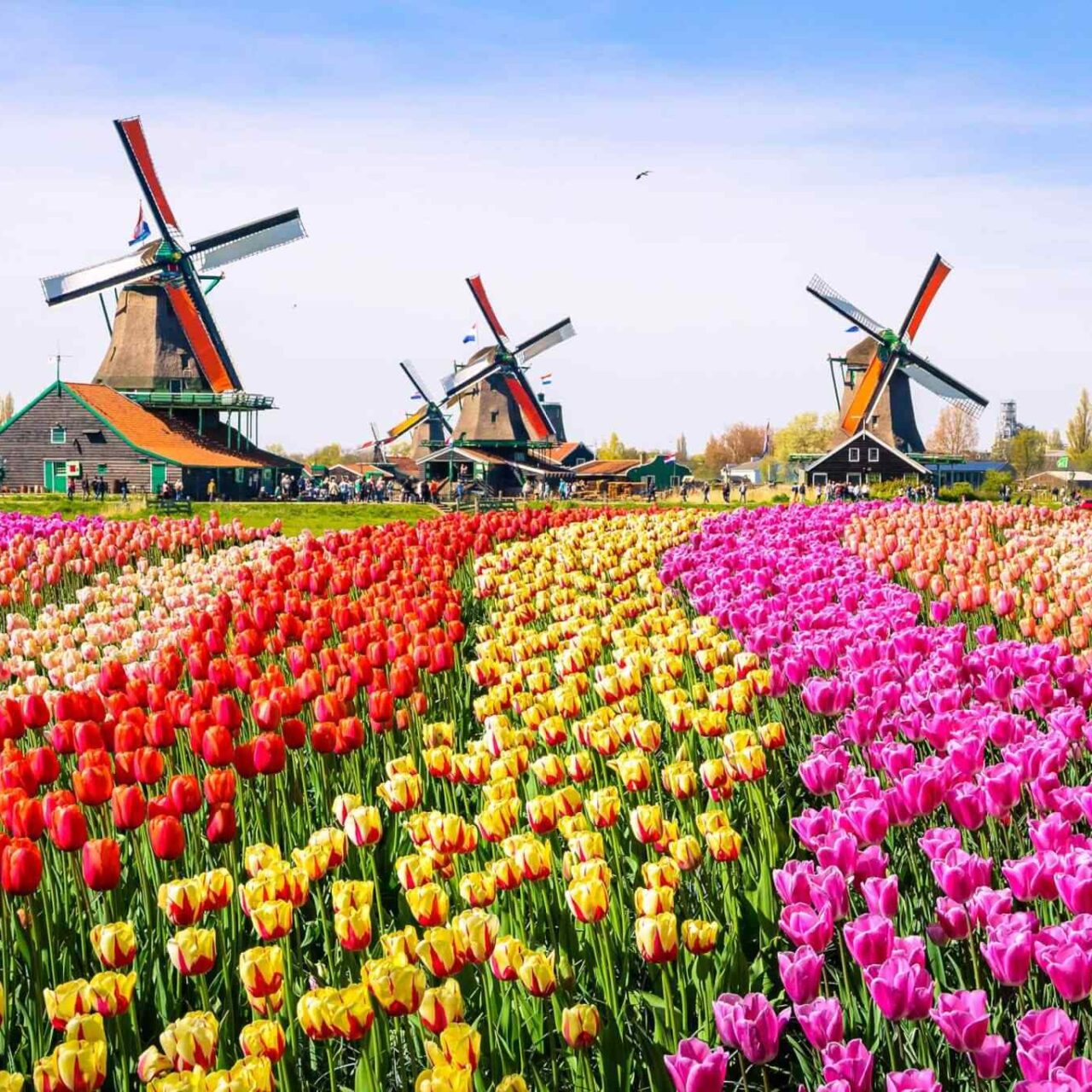 https://www.iberoamericaviaggi.it/wp-content/uploads/2018/09/destination-netherlands-01-1280x1280.jpg