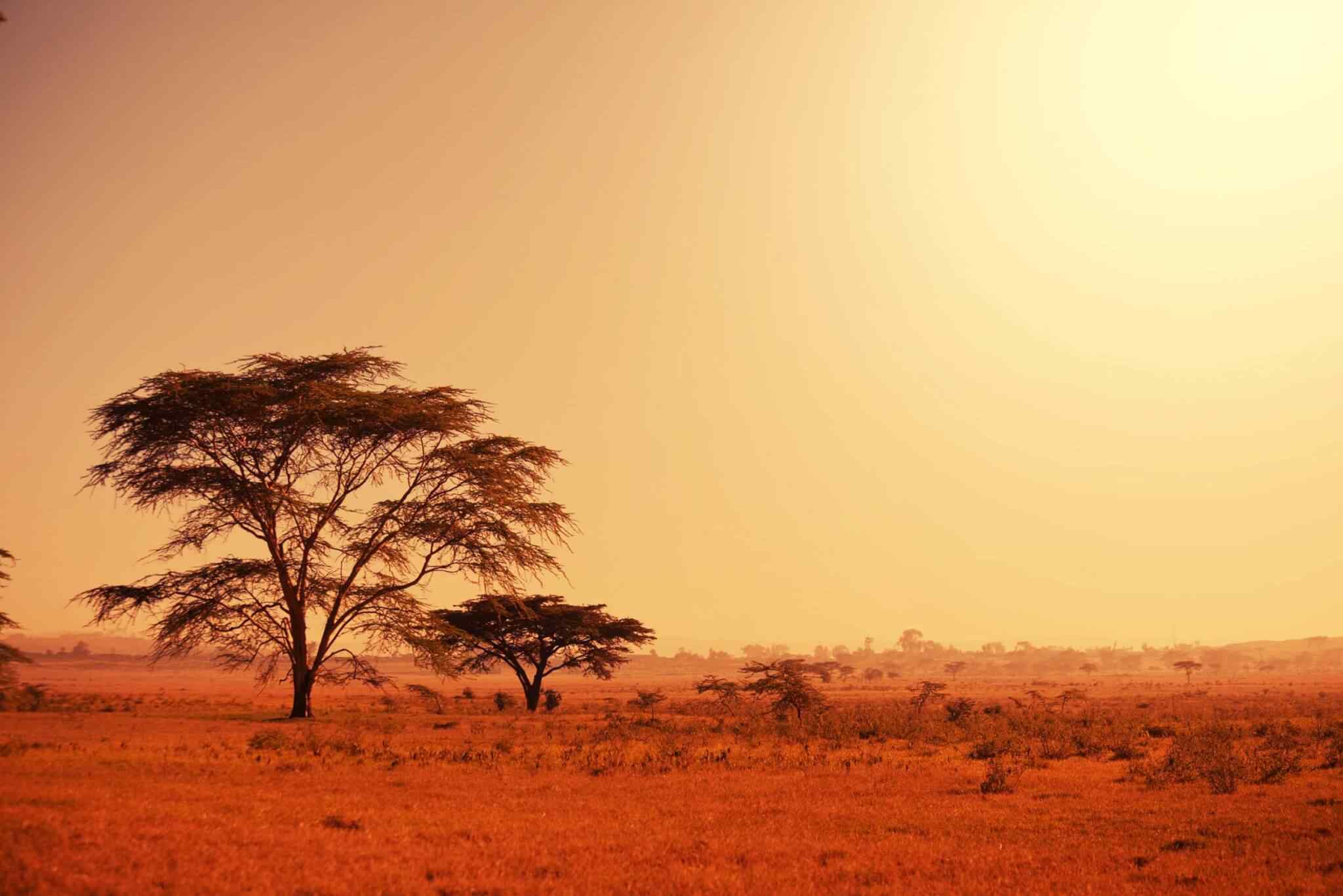 https://www.iberoamericaviaggi.it/wp-content/uploads/2018/09/tour-africa-02.jpg