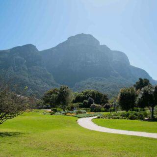 https://www.iberoamericaviaggi.it/wp-content/uploads/2018/09/tour-capetown-03-320x320.jpg