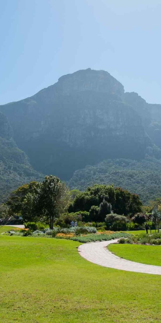 https://www.iberoamericaviaggi.it/wp-content/uploads/2018/09/tour-capetown-03-640x1280.jpg