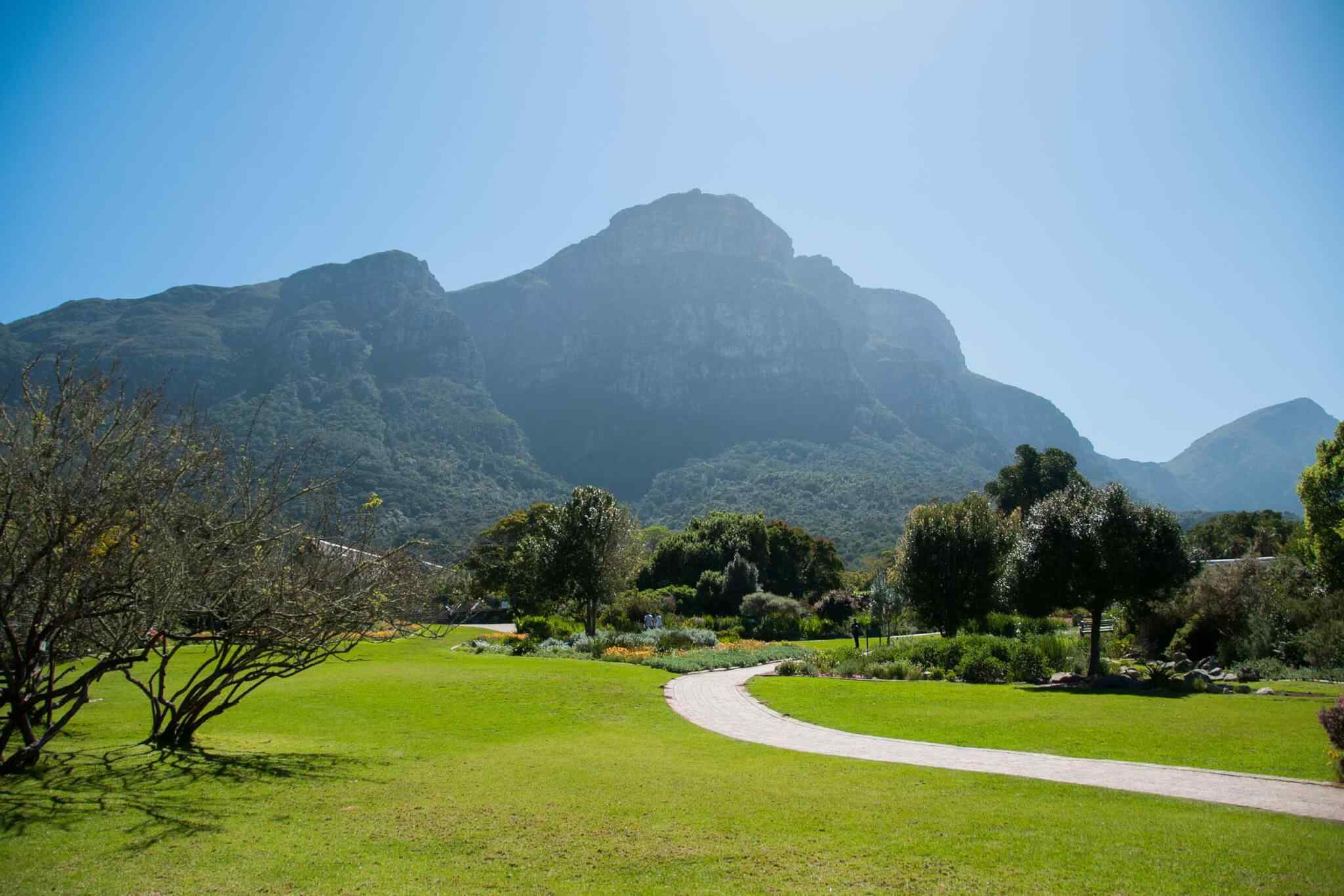 https://www.iberoamericaviaggi.it/wp-content/uploads/2018/09/tour-capetown-03.jpg